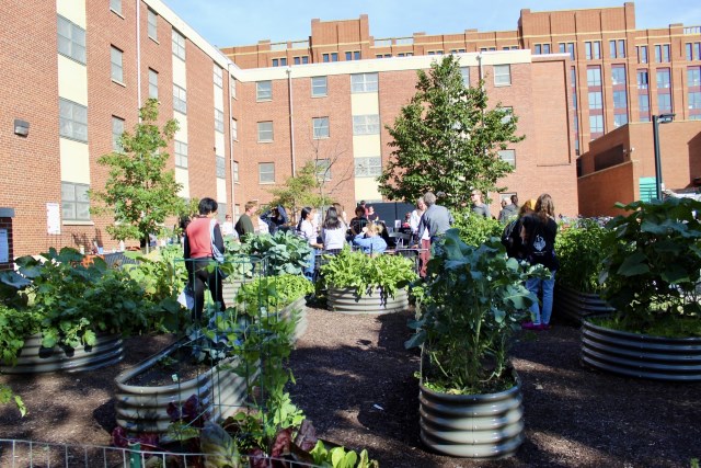 SUSTAINS Container Gardens